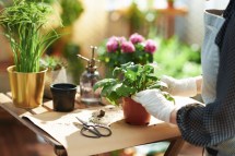 The Benefits of Gardening and Landscaping for Mental Health