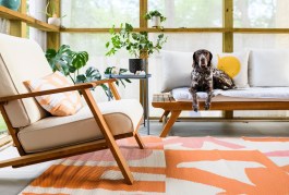 Essential Tips for Designing a Pet-Friendly Home